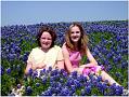 blue bonnets